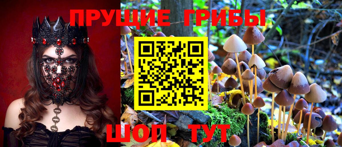 Ижевск  Галлюциногенные грибы Magic Shrooms  Вход с VPN 